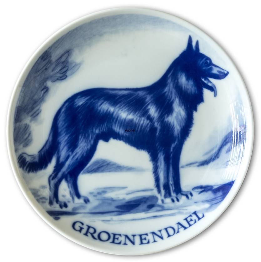 Ravn Hundeteller Nr. 21, Groenendael Hund (Belgischer Schäferhund) Nr